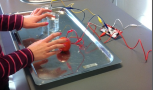 Makey Makey