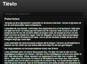 Elevblogg