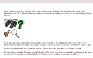 Site sidaSkärmklipp