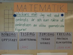 Mål och struktur
