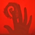 MagnetIMG_4243
