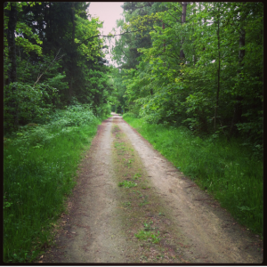 "Nu låtsas vi att vi är i skogen..."