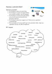 Pedagogisk planering Ljus & Ögat