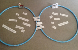 Vårt venndiagram.