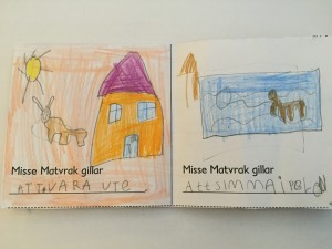 IMG_1154 1