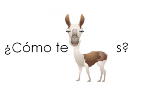 come te lama