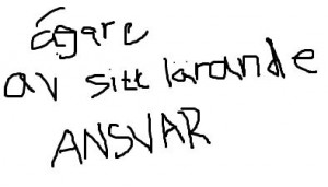 bild ansvar