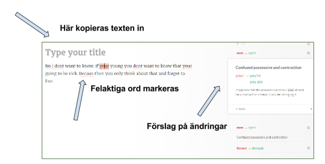 exempel