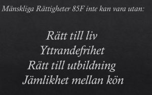 85f-s-manskliga-rattigheter