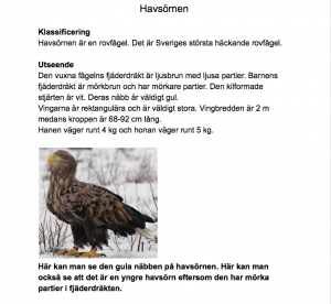 Elevs faktatext om havsörnen.