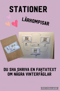 Stationsbaserat lärande