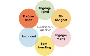 Delaktighetsaspekterna